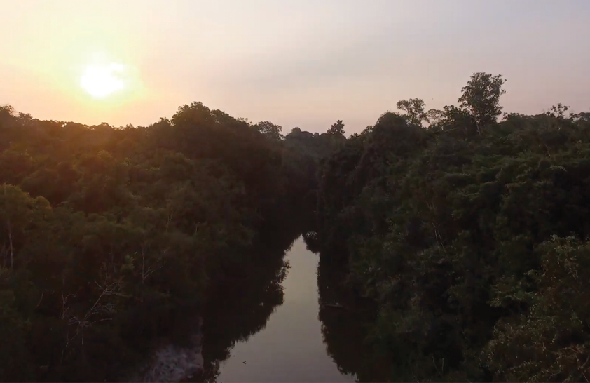 Monitoramento Participativo da Biodiversidade